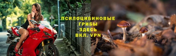 каннабис Верея