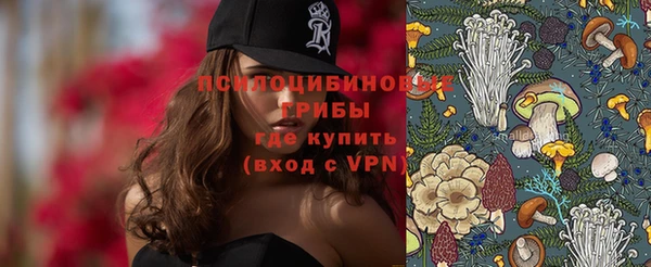 сатива Верхний Тагил