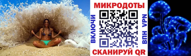 Галлюциногенные грибы Psilocybe  где продают   Кропоткин 